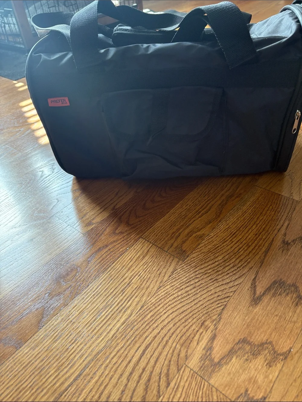 Black Pet Carrier Tote with Mesh Ventilation